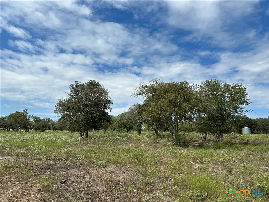 Tract 2 Regan Lane, Victoria, TX 77905 - #1