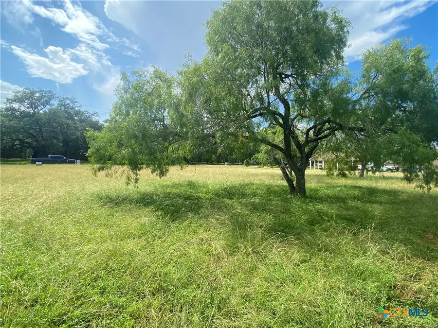 000 N San Patricio Street, Goliad, TX 77963 - #2