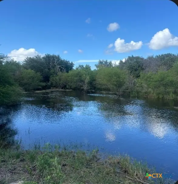 425 Metz Road, Goliad, TX 77963 - #1