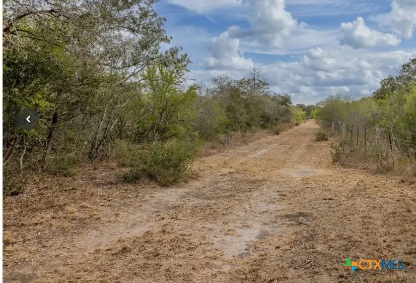 425 Metz Road, Goliad, TX 77963 - #2