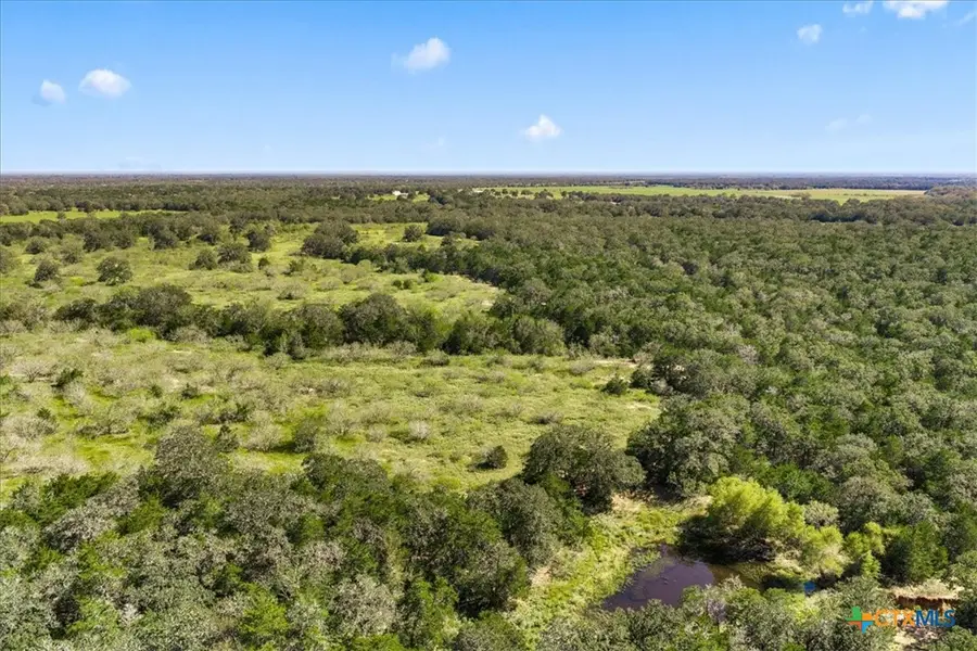 6625 N Old Smithville Road, Flatonia, TX 78941 - #3