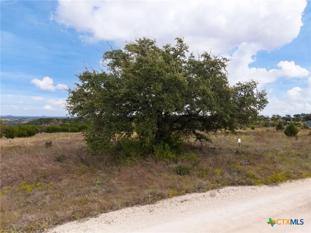 5423 Pr 3803, Gatesville, TX 76528 - #1