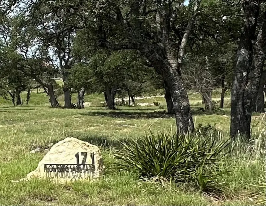 171 Flowering Sage Ln, Fredericksburg, TX 78624 - Image #2