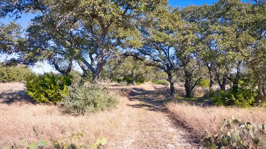 0 Starks Rd, Mason, TX 76856 - #3