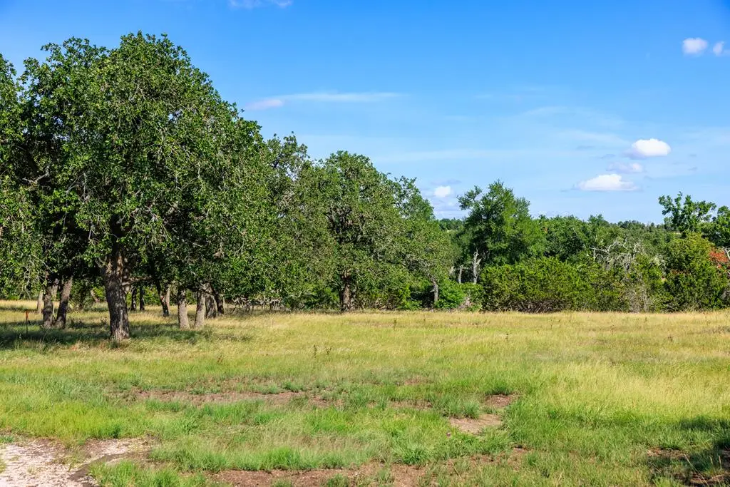Lot 8 Kopper Kettle Ln, Fredericksburg, TX 78624 - #1