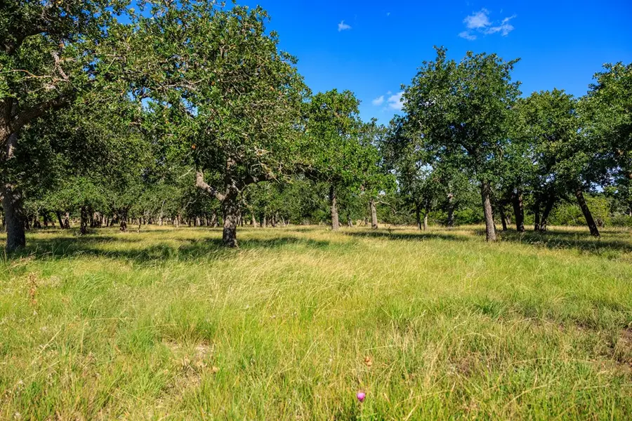 Lot 8 Kopper Kettle Ln, Fredericksburg, TX 78624 - #3
