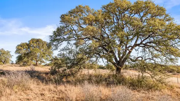 1422-17 Fm 2766, Johnson City, TX 78636