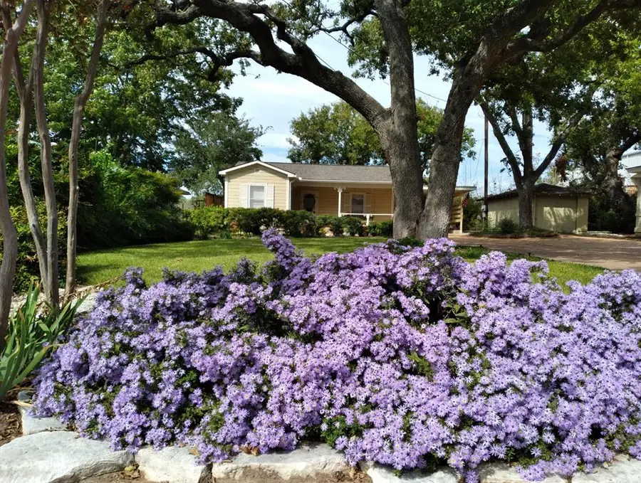 406 N Adams St, Fredericksburg, TX 78624 - Image #2