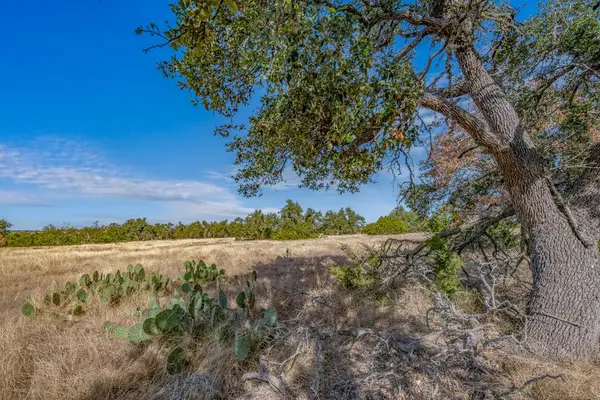 234 Lower Reservation Rd, Harper, TX 78631