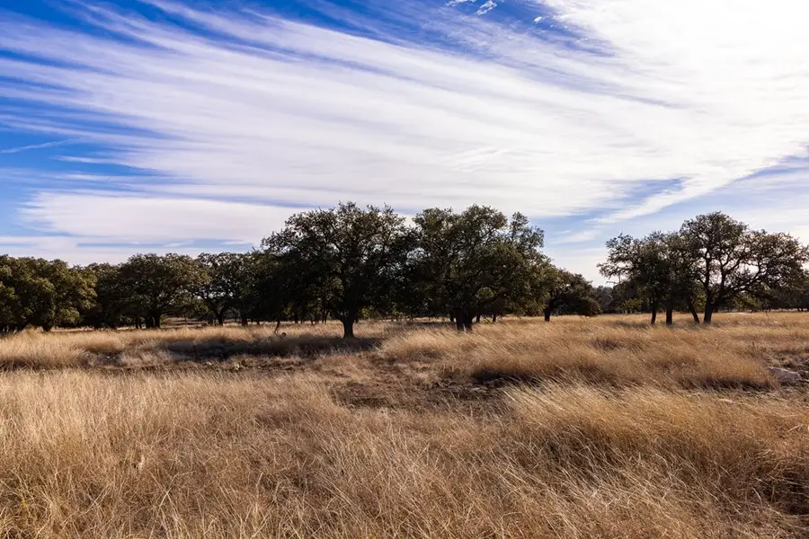 Lot 15 Legacy Oaks Dr, Harper, TX 78631 - #2