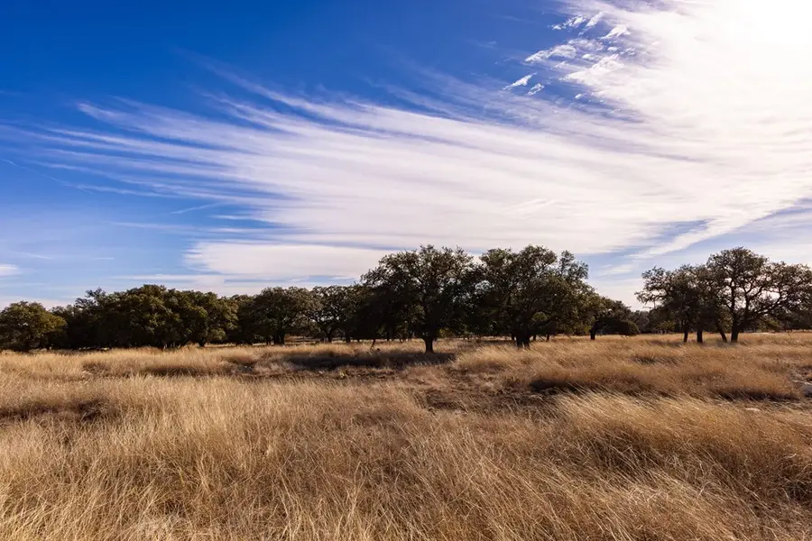 Lot 15 Legacy Oaks Dr, Harper, TX 78631 - #3