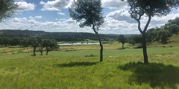 424 Sawgrass Trail, Fredericksburg, TX 78624