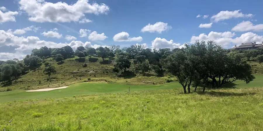 424 Sawgrass Trail, Fredericksburg, TX 78624 - #2