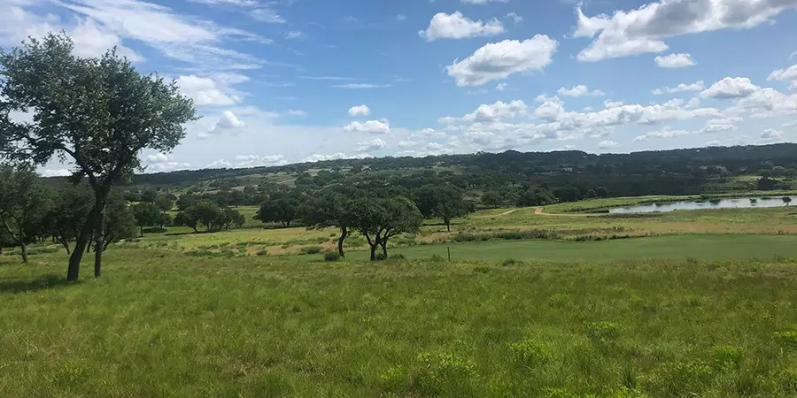 424 Sawgrass Trail, Fredericksburg, TX 78624 - #3