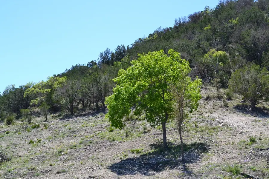 1167 Kc 311, Junction, TX 76849 - #2