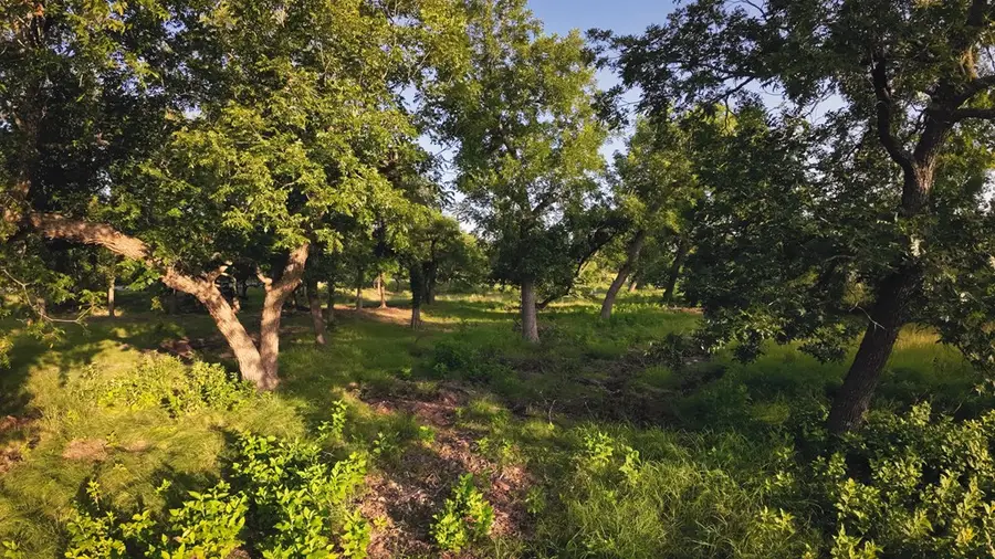 0 Loudon Rd, Fredericksburg, TX 78624 - #3