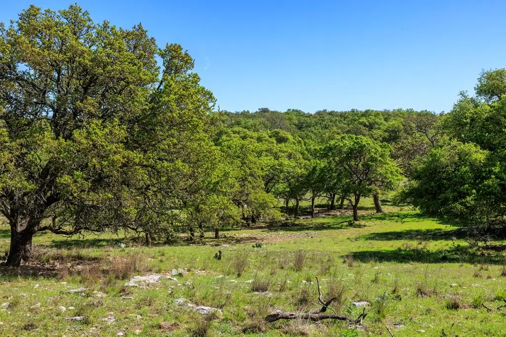 215 Dally Rd, Fredericksburg, TX 78624 - #1