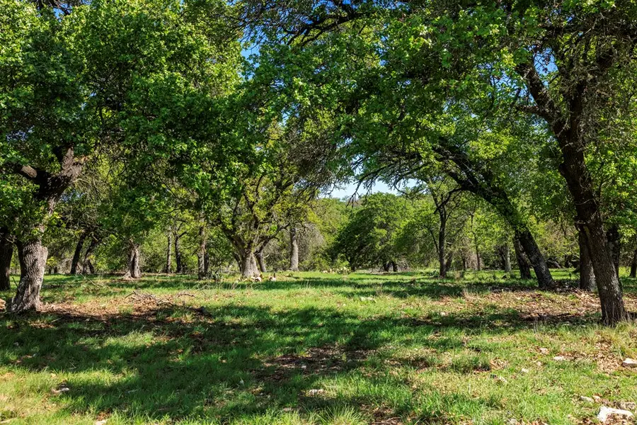 215 Dally Rd, Fredericksburg, TX 78624 - #2