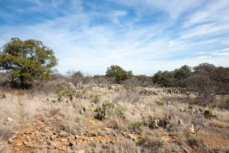 16719 Lot 1 Salt Branch Loop, Mason, TX 76856 - #2