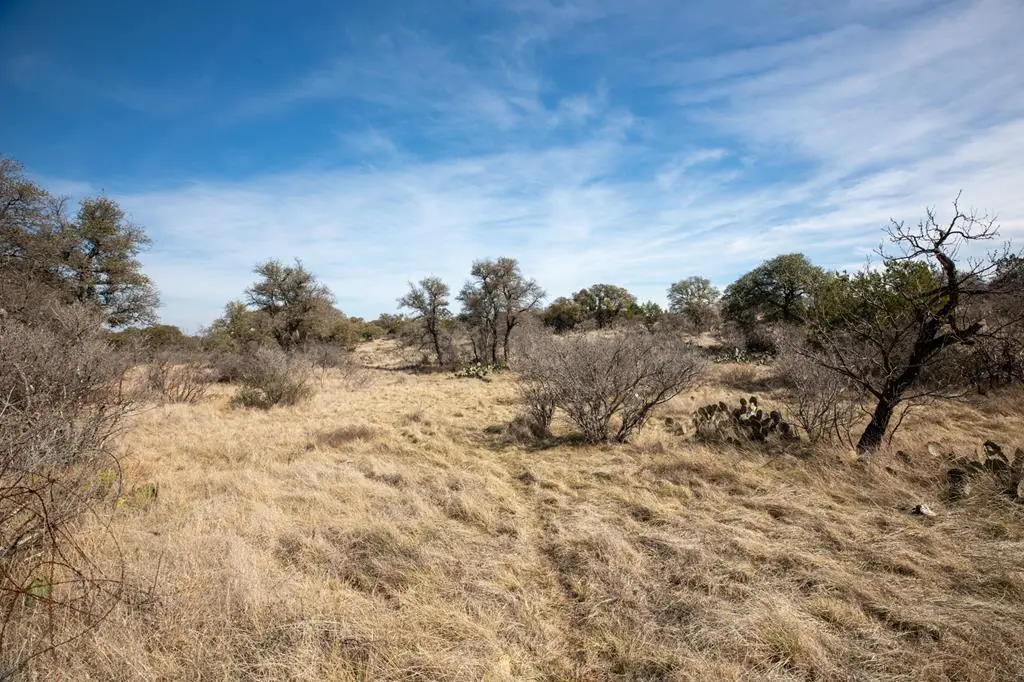 16719 Lot 2 Salt Branch Loop, Mason, TX 76856 - #1
