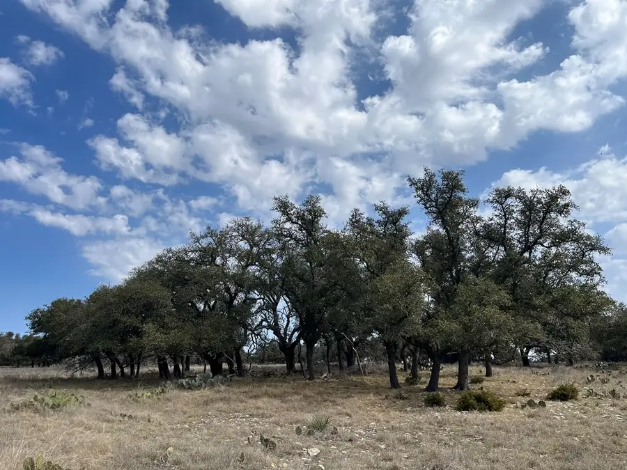 171 Crooked Tree Circle, Harper, TX 78631 - #3