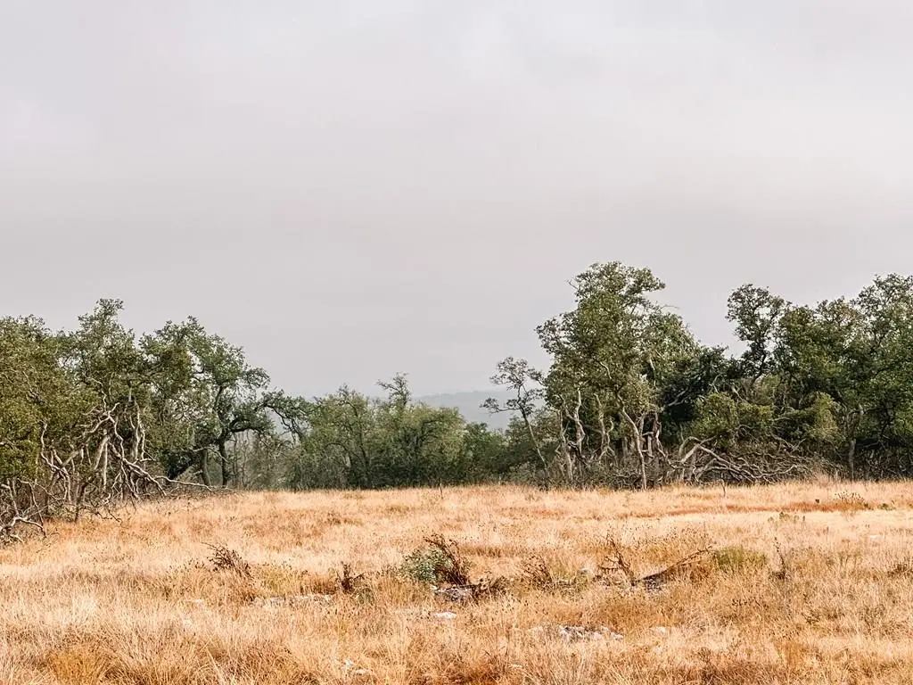 Lot 35 Nott Branch Rd, Harper, TX 78631 - #1