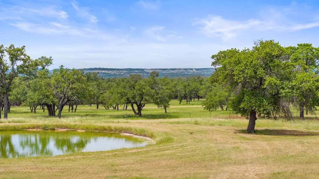 1241-1 Sandy Oaks Ranch Rd, Johnson City, TX 78636 - #1