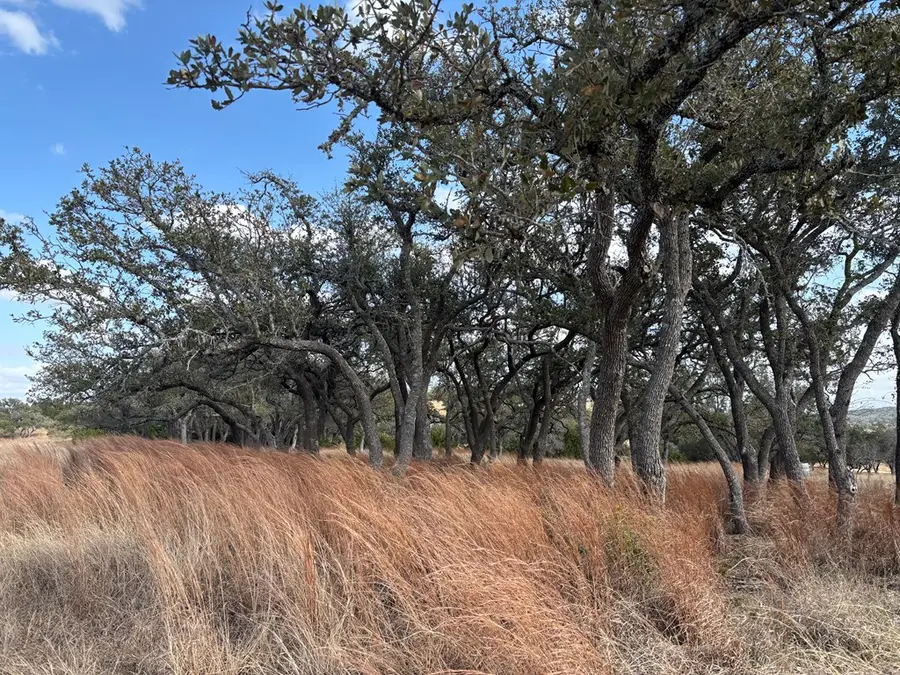 000 Watch Hill Ln, Fredericksburg, TX 78624 - #2