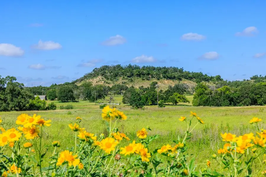 328 Lehne Lane, Fredericksburg, TX 78624 - #3