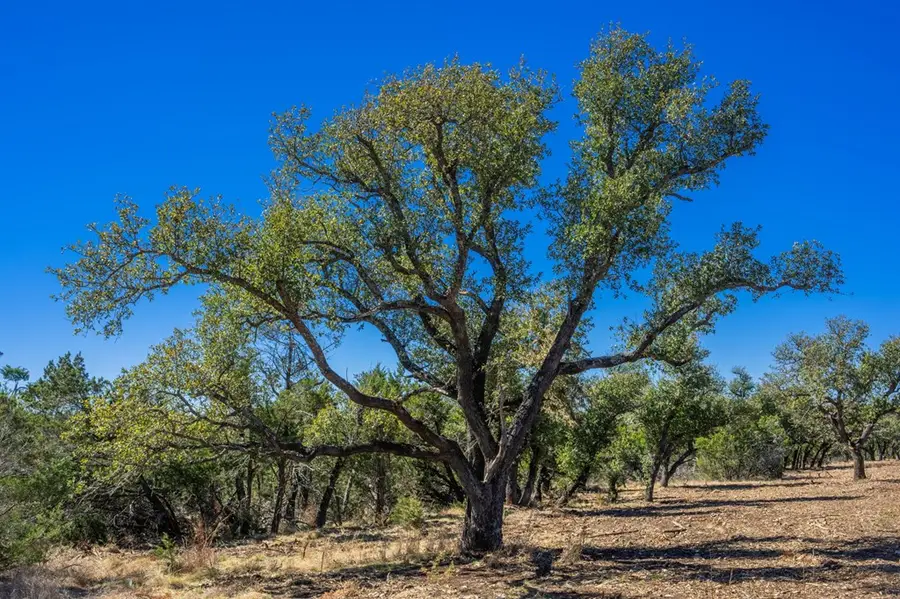 0000 Keese Rd, Fredericksburg, TX 78624 - #3