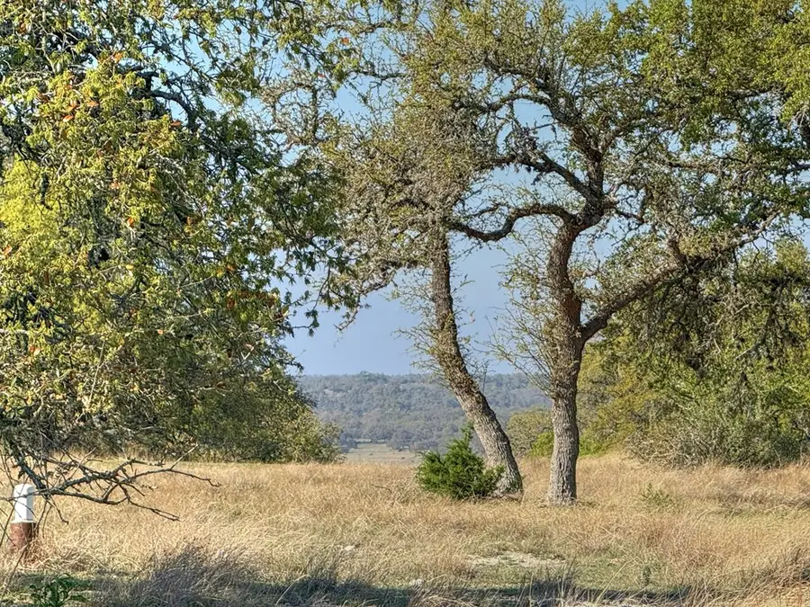 0016 Premier View Dr, Fredericksburg, TX 78624 - #2