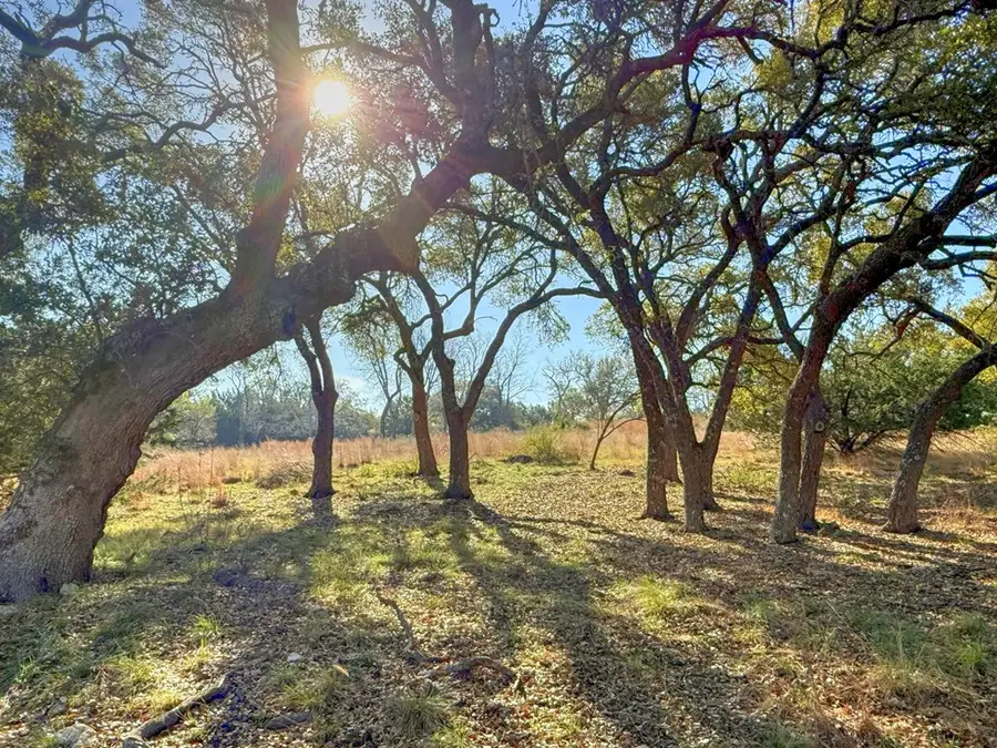 0016 Premier View Dr, Fredericksburg, TX 78624 - #3
