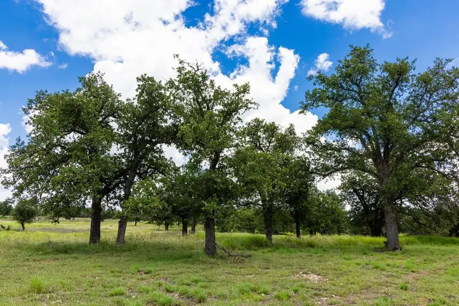 34 N Gretchen Grove Ln, Fredericksburg, TX 78624 - #2
