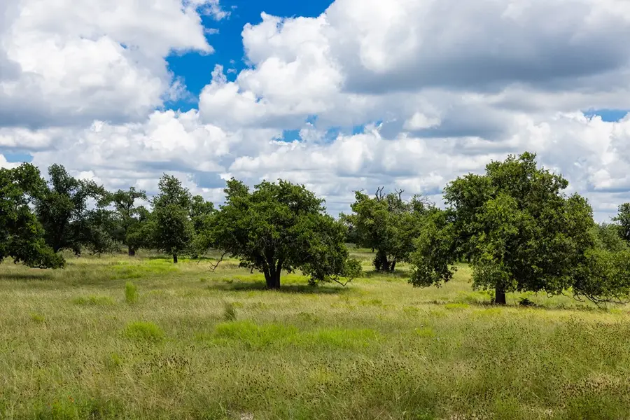 34 N Gretchen Grove Ln, Fredericksburg, TX 78624 - #3