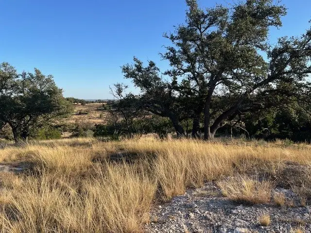 Tract 10 Rare Eagle Dr, Fredericksburg, TX 78624 - #3