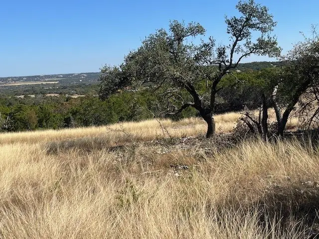 Tract 11 Rare Eagle Dr, Fredericksburg, TX 78624 - #3