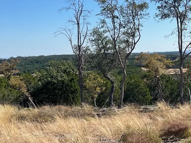 Tract 12 Rare Eagle Dr, Fredericksburg, TX 78624 - #3