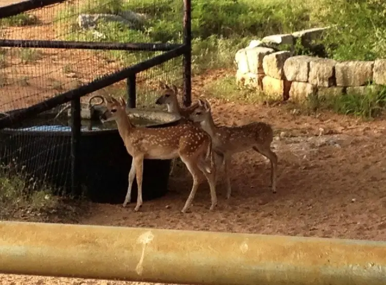 0 Escalar Dr, Llano, TX 78643 - #2