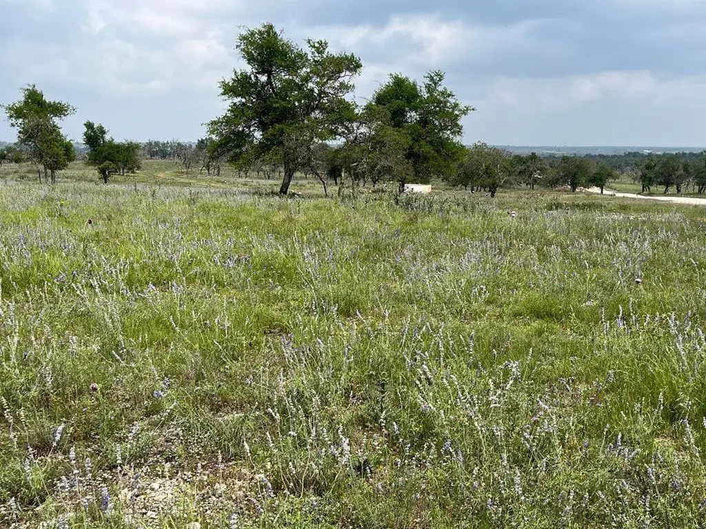Lot 8 Sweet Wind Ln, Harper, TX 78631 - #1