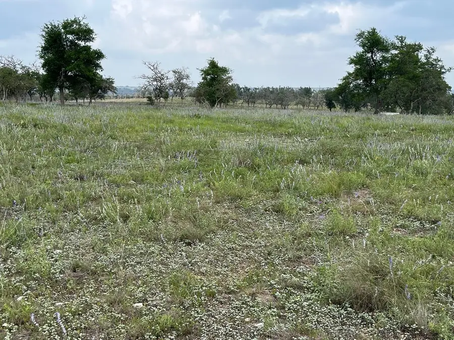 Lot 8 Sweet Wind Ln, Harper, TX 78631 - #3