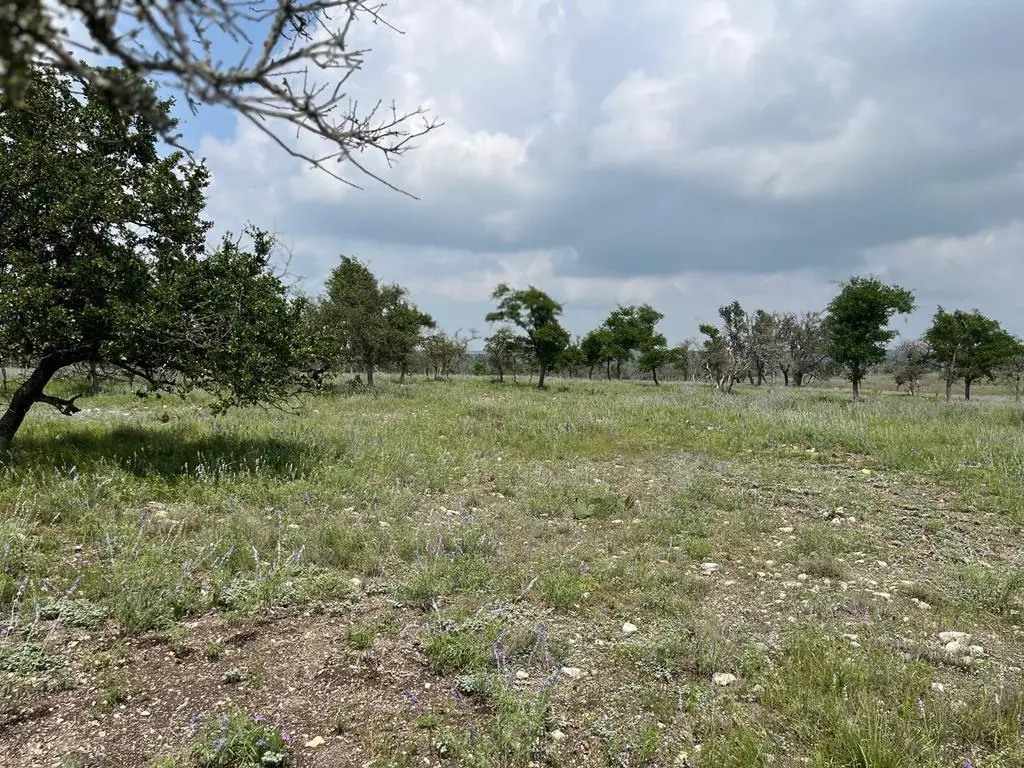 Lot 9 Sweet Wind Ln, Harper, TX 78631 - #1