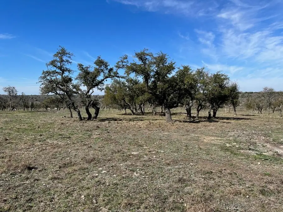 Lot 6 Jung Rd, Harper, TX 78631 - #2