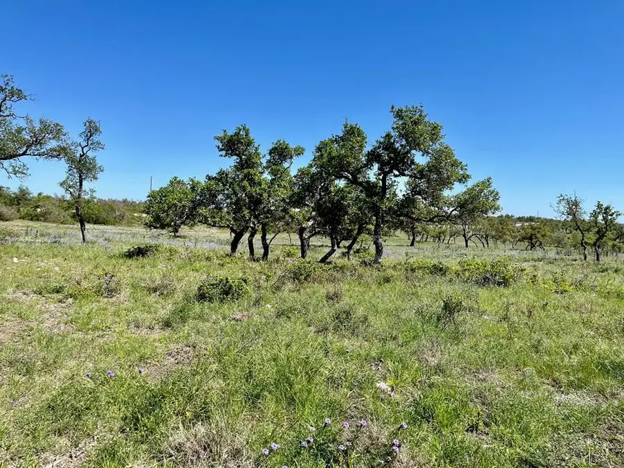 Lot 7 Jung Rd, Harper, TX 78631 - #2