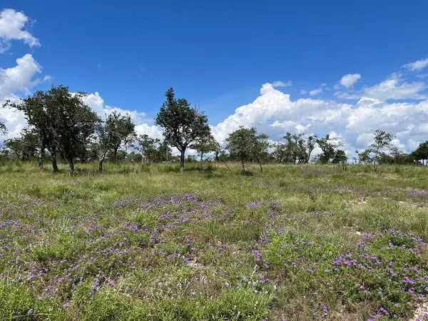 Lot 10 Sweet Wind Ln, Harper, TX 78631