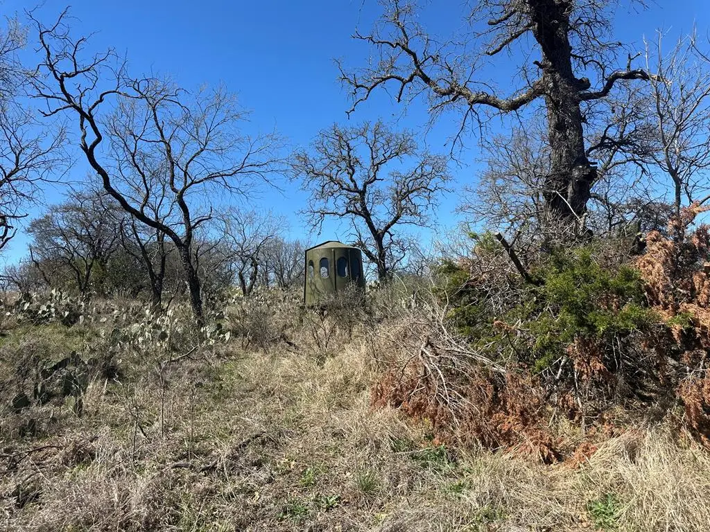 00000 Fly Gap County Road, Mason, TX 76856 - #1