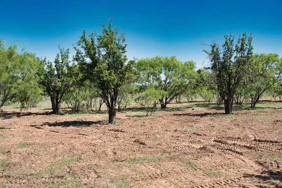 2303 Streeter Lane, Streeter, TX 76856 - #3