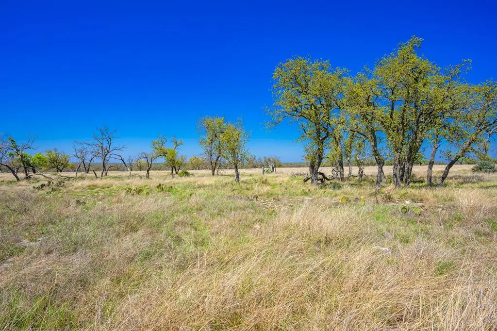 Lot 114 Stock Pond Dr, Harper, TX 78631 - #1