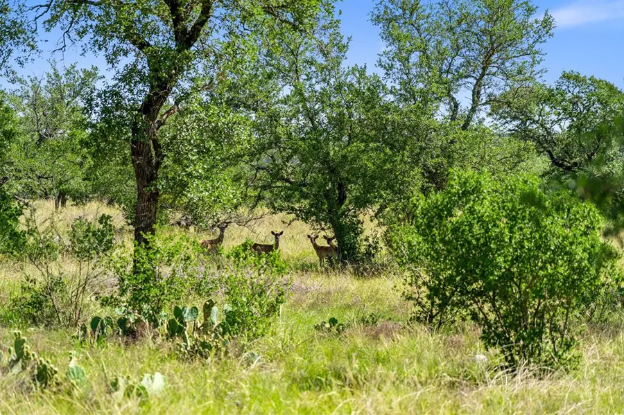 620 Rio Vista Rd, Johnson City, TX 78636 - #3