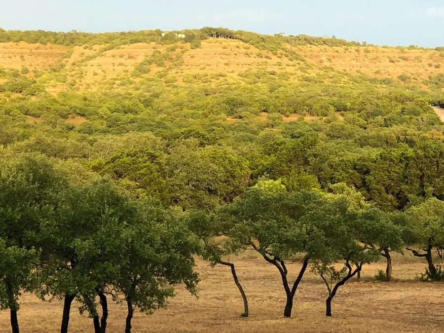 1215 Montell Rd, Wimberley, TX 78676 - #3