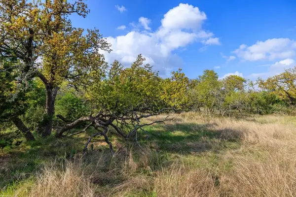 7 Duderstadt Rd, Harper, TX 78631